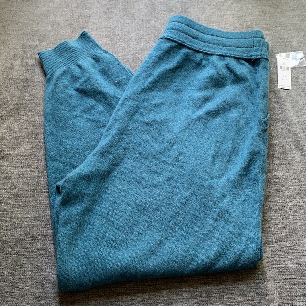 Anthropologie Emmeline Cashmere Joggers - Picture 7 of 9
